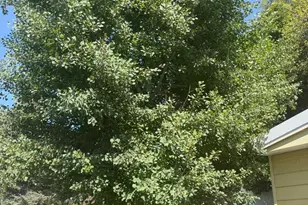 150 W 200 St N, Duchesne, UT 84021 - Photo 36