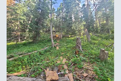 30 E Pine Creek Rd S #30, Mount Pleasant, UT 84647 - Photo 8