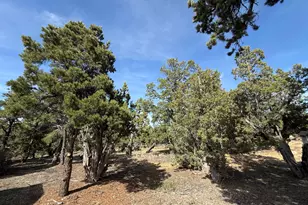 33383 W 8000 S, Duchesne, UT 84021 - Photo 52