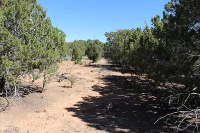 17768 Harmony Ln, Cedar City, UT 84721 - Photo 4