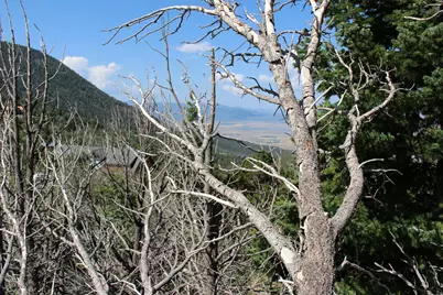 2267 S High Mountain Dr, Cedar City, UT 84720 - Photo 8