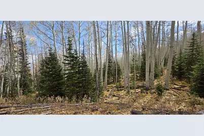 [Address not provided], Annabella, UT 84711 - Photo 4