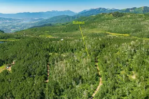 1665 W Marmot Ln, Midway, UT 84049 - Photo 1
