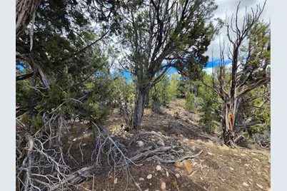 45166 W Bandanna Dr, Fruitland, UT 84027 - Photo 40