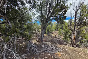 45166 W Bandanna Dr, Fruitland, UT 84027 - Photo 40