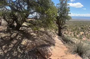 17781 W 1250 S, Duchesne, UT 84021 - Photo 24