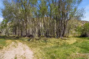 811 E Canyon Rd N, Mayfield, UT 84643 - Photo 52