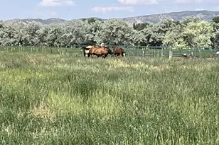 820 S 500 W, Vernal, UT 84078 - Photo 36