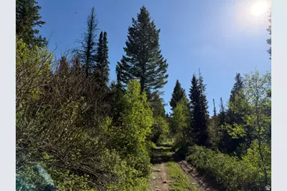[Address not provided], Huntsville, UT 84317 - Photo 62