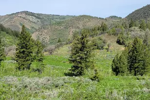 [Address not provided], Huntsville, UT 84317 - Photo 1