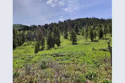 [Address not provided], Huntsville, UT 84317 - Photo 12