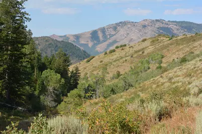 266 Sunridge - Tax Id  230130266, Huntsville, UT 84317 - Photo 24