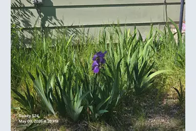 2350 W 7200 N, Honeyville, UT 84314 - Photo 24