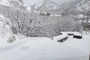 3381 E 9980 S, Sandy, UT 84092 - Photo 110