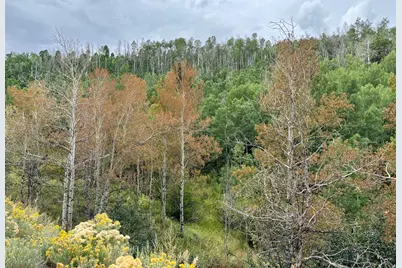 10385 Deer Creek Drive #2, Heber City, UT 84032 - Photo 12