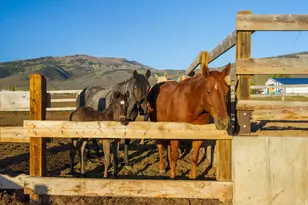 320 W 2100 N, Marion, UT 84036 - Photo 4