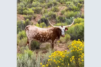 39 Upper Lick Rd #39, Kanab, UT 84741 - Photo 38