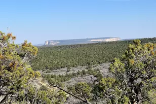 39 Upper Lick Rd, Kanab, UT 84741 - Photo 1