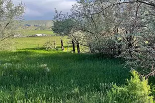 616 S Bennion Ln W, Manila, UT 84046 - Photo 6