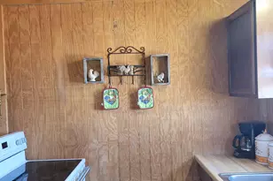 9912 S County Rd 29, Duchesne, UT 84021 - Photo 22
