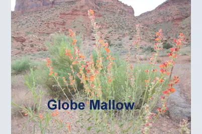 458 W Singing Desert Rd, Thompson, UT 84540 - Photo 18