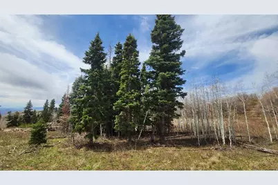 79 E Thads Peak Dr S #J50, Fairview, UT 84629 - Photo 2