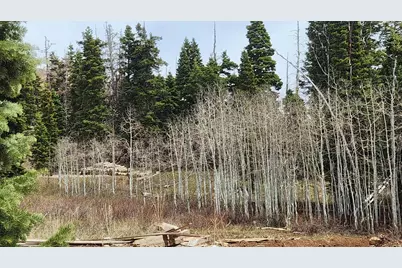 79 E Thads Peak Dr S #J50, Fairview, UT 84629 - Photo 6