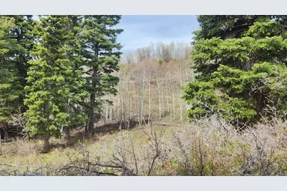 79 E Thads Peak Dr S #J50, Fairview, UT 84629 - Photo 8