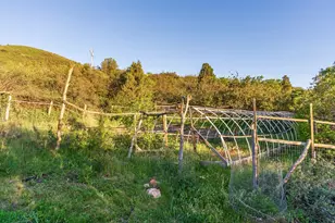 442 Splendor Rd, Kamas, UT 84036 - Photo 52