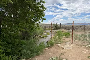1495 S Hwy 117, Mount Pleasant, UT 84647 - Photo 6