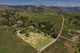 23555 Thads Peak Dr, Fairview, UT 84629 - Photo 2