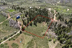 14255 Main Rd, Fairview, UT 84629 - Photo 6