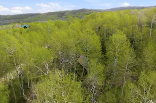 11356 E Columbine Ln, Heber City, UT 84032 - Photo 48
