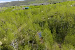 11356 E Columbine Ln, Heber City, UT 84032 - Photo 54