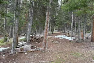 2158 Memory Ln, Kamas, UT 84036 - Photo 48