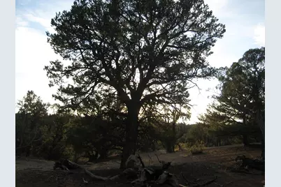 [Address not provided], Fruitland, UT 84027 - Photo 4
