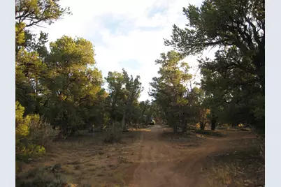 [Address not provided], Fruitland, UT 84027 - Photo 6