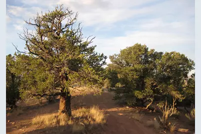 [Address not provided], Fruitland, UT 84027 - Photo 16