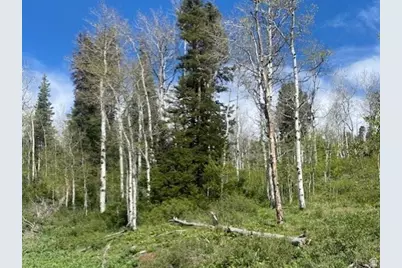 1798 W Alexander Rd #G-65, Coalville, UT 84017 - Photo 4