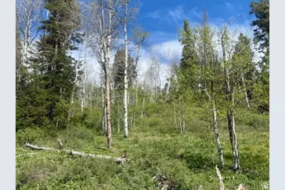 1798 W Alexander Rd #G-65, Coalville, UT 84017 - Photo 6