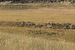 [Address not provided], Levan, UT 84639 - Photo 1