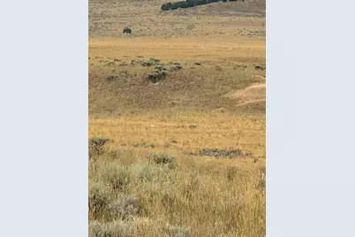 [Address not provided], Levan, UT 84639 - Photo 6