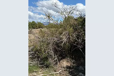 [Address not provided], Spring City, UT 84662 - Photo 4