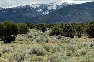 [Address not provided], Spring City, UT 84662 - Photo 1