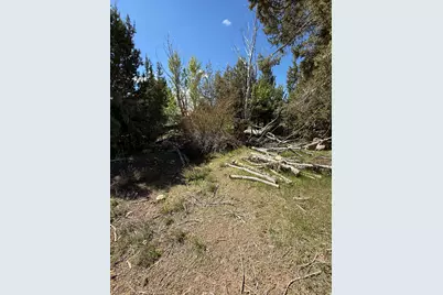 [Address not provided], Spring City, UT 84662 - Photo 10