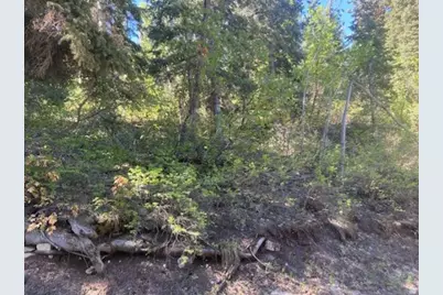 135 J Quaking Aspen Dr #J-135, Fairview, UT 84629 - Photo 8