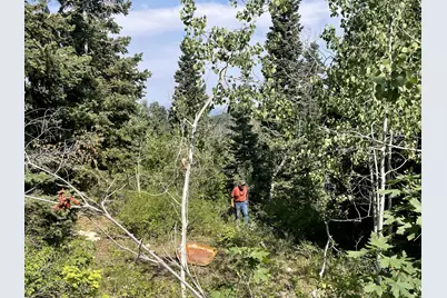 135 J Quaking Aspen Dr #J-135, Fairview, UT 84629 - Photo 10