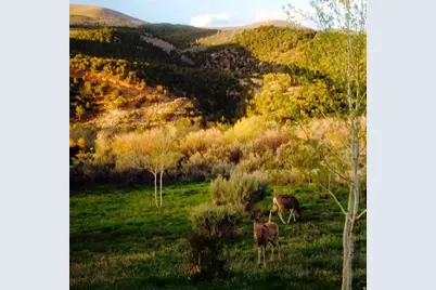 7343 N Sawtooth Cove Rd, Dry Fork, UT 84078 - Photo 46