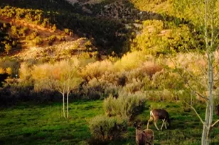 7343 N Sawtooth Cv Rd, Dry Fork, UT 84078 - Photo 46