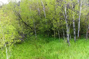 1937 UT-150 Lot 154, Kamas, UT 84036 - Photo 1